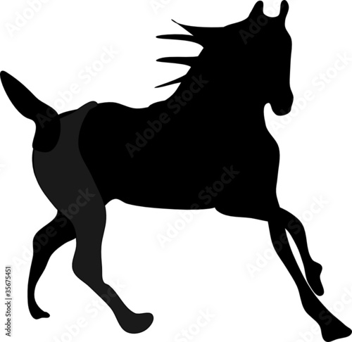 Horse silhouette