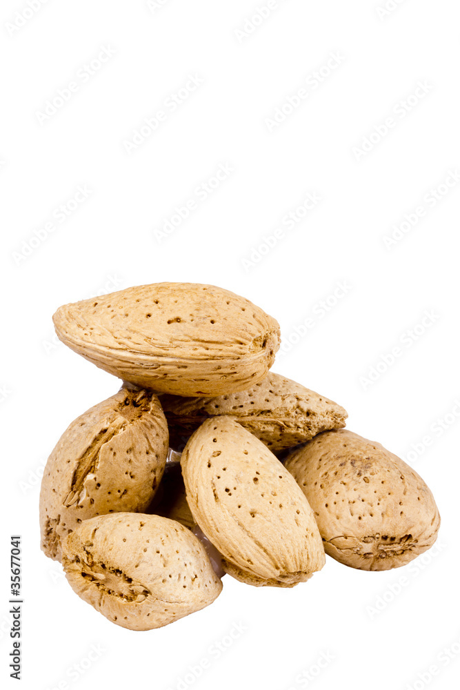 Almond Nuts Almond Nuts