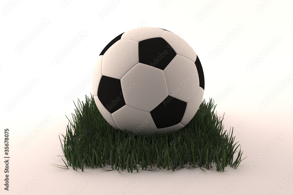 Obraz premium football on grass white background