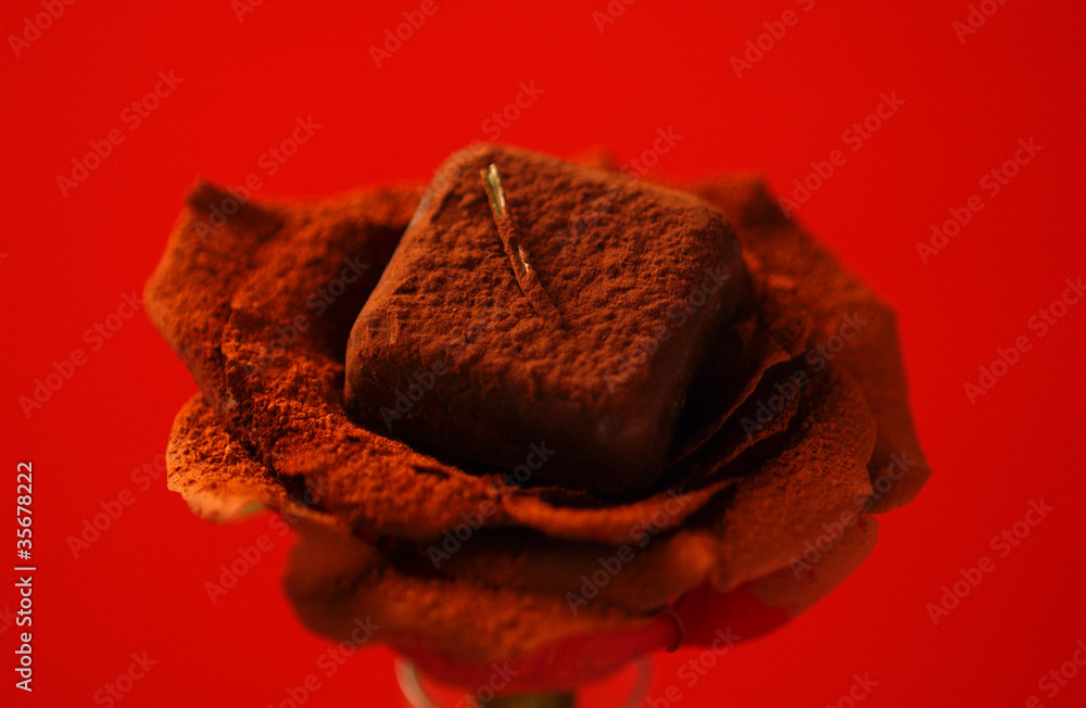 Fototapeta premium A rose and chocolate