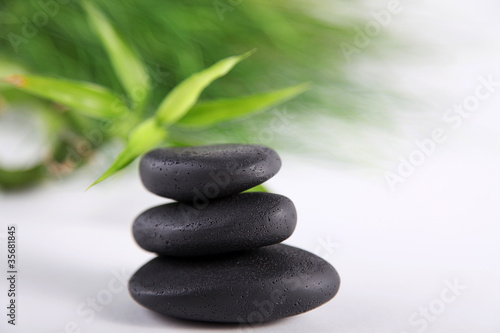 SPA Wellness Steine schwarz mit Bambuspflanze Nahaufnahme