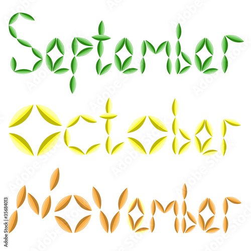 Autumn months.