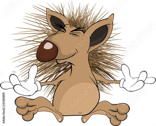 Hedgehog. Cartoon
