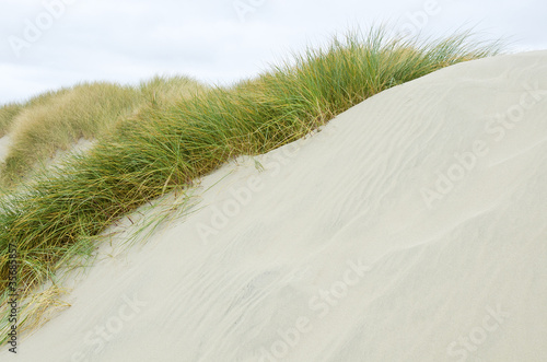 Coastal Sand Dunes of Oregon