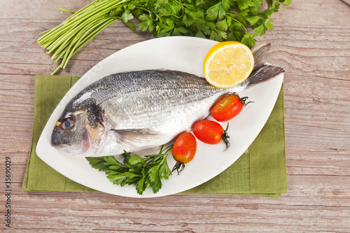 Fresh gilthead