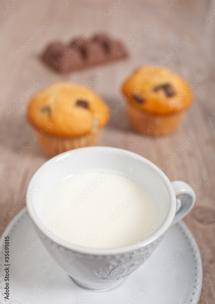 Chocolate muffins Chocolate muffins