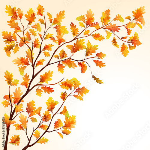 Autumn oak branch