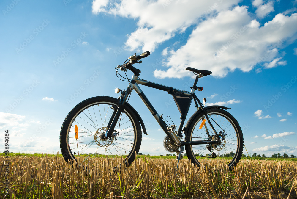 bike bike