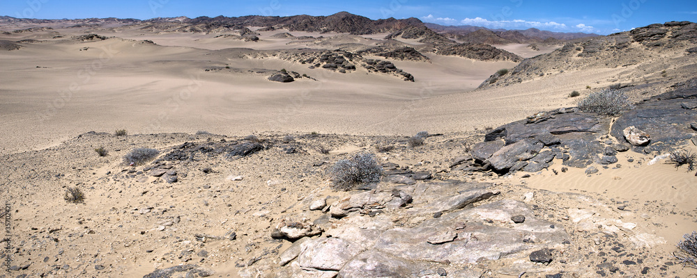 The Skeleton Coast Desert