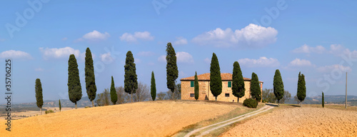 Haus mit Zypressen Toskana panorama