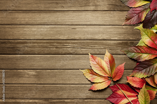 Fotografie Autumn leaves over wooden background with copy space