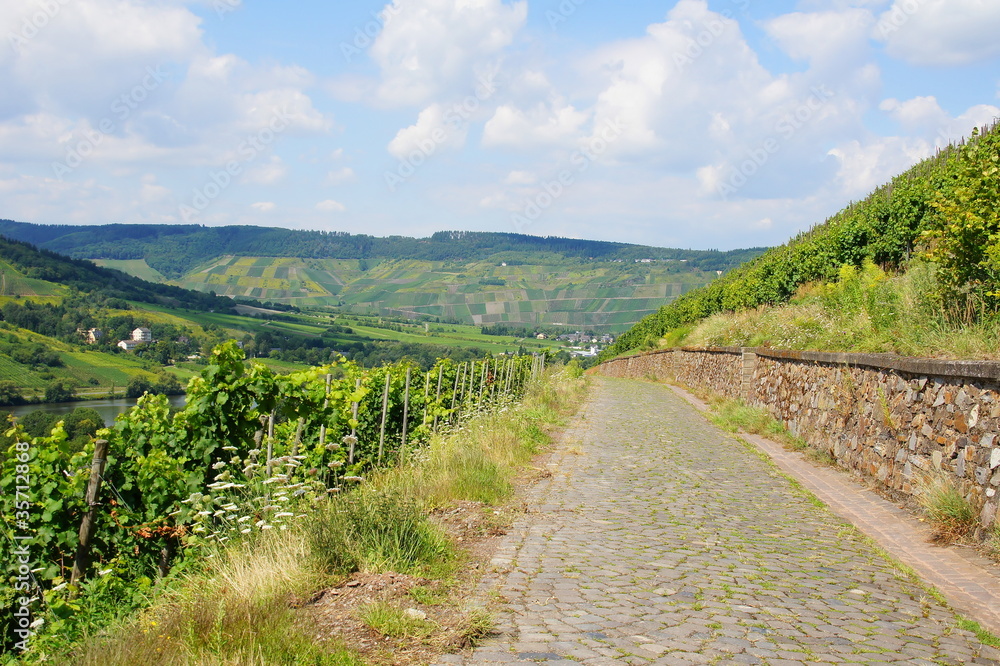 Pflasterweg nach Wolf. Pflasterweg nach Wolf.