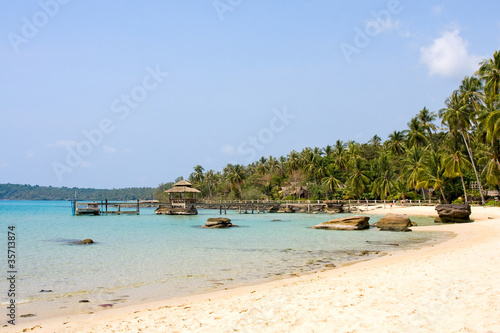 Tropical beach with palm trees on the sand near the sea.