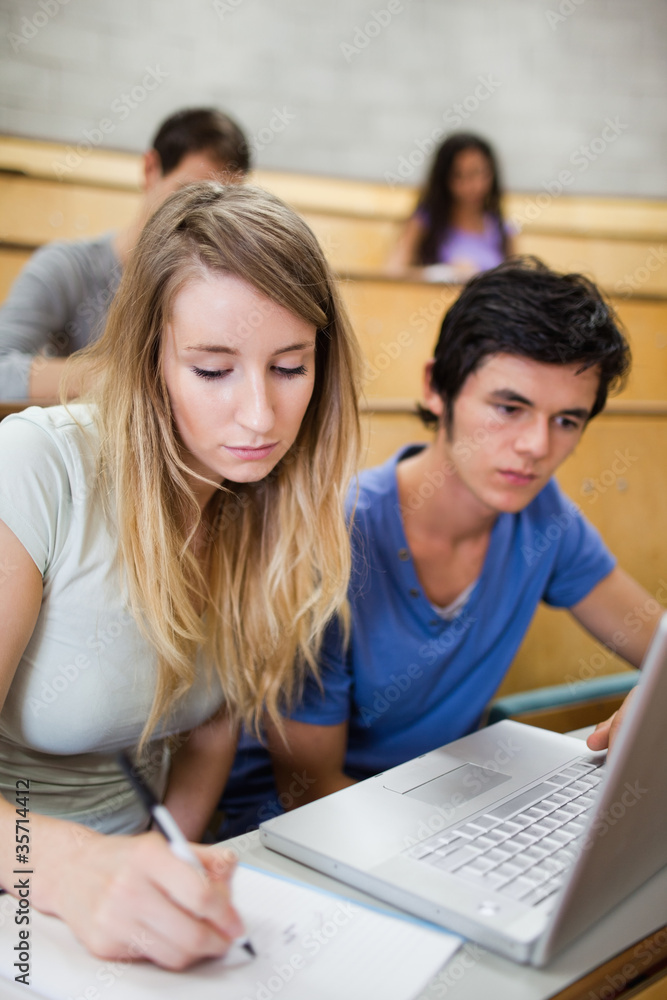 Portrait of students working with a notebook Portrait of students working with a notebook