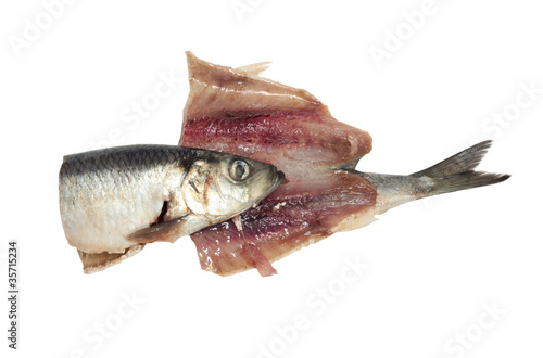 Salted herring isolated on the white background photo