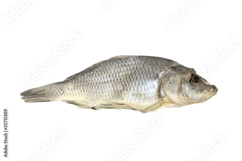 Dried fish allocated on a white background