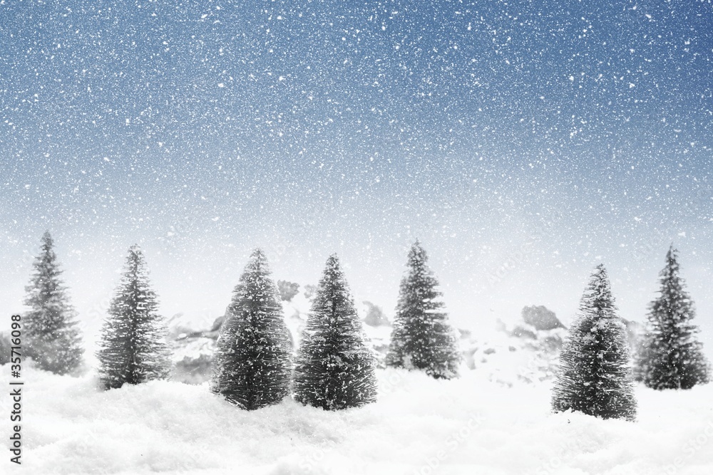 Fir trees with snowfall Fir trees with snowfall