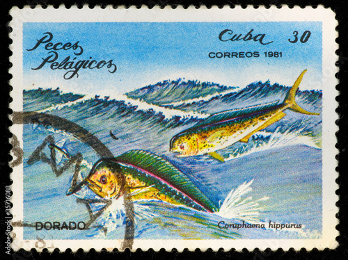 Postal stamp. Dorado, 1975 photo