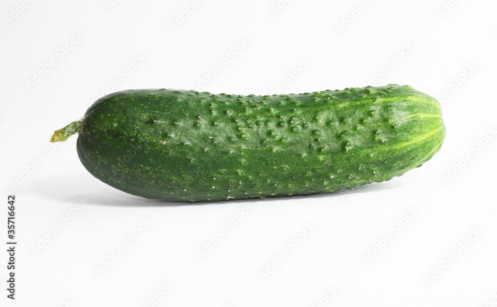 Isolated fresh domestic cucunber Isolated fresh domestic cucunber
