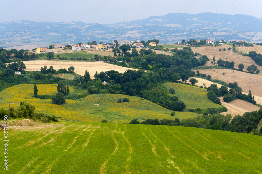 Marches (Italy) - Landscape at summer