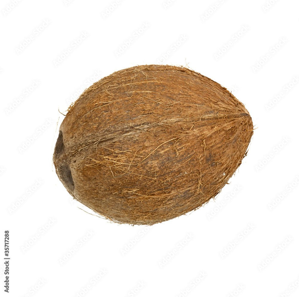 coconut isolated on white background coconut isolated on white background