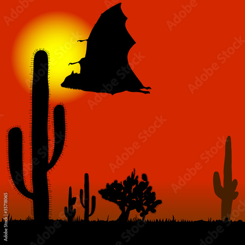 flying bat black silhouette and cactus illustration