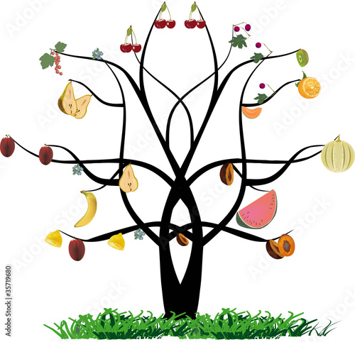 albero di frutta