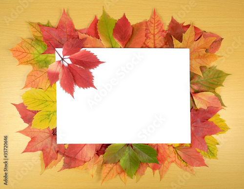 autumn leaves and sheet of paper