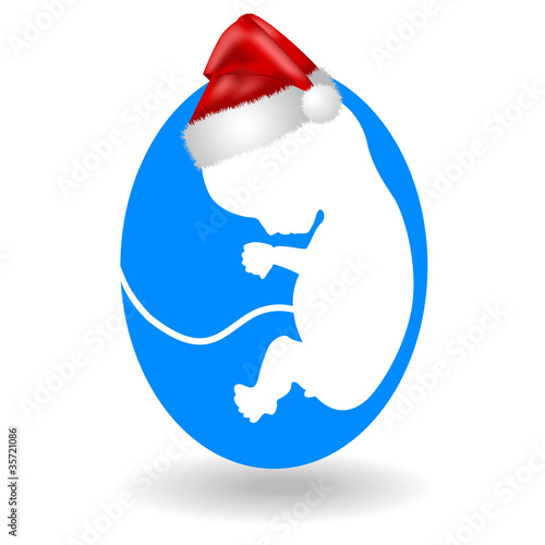 Christmas and fetus