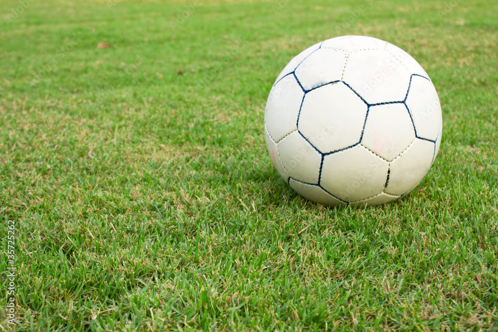 Ball in the yard.