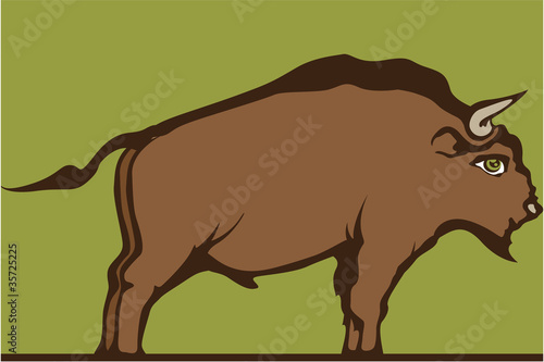 Brown Bizon Vector