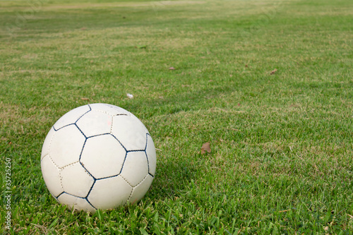 Ball in the yard. © vachiraphan