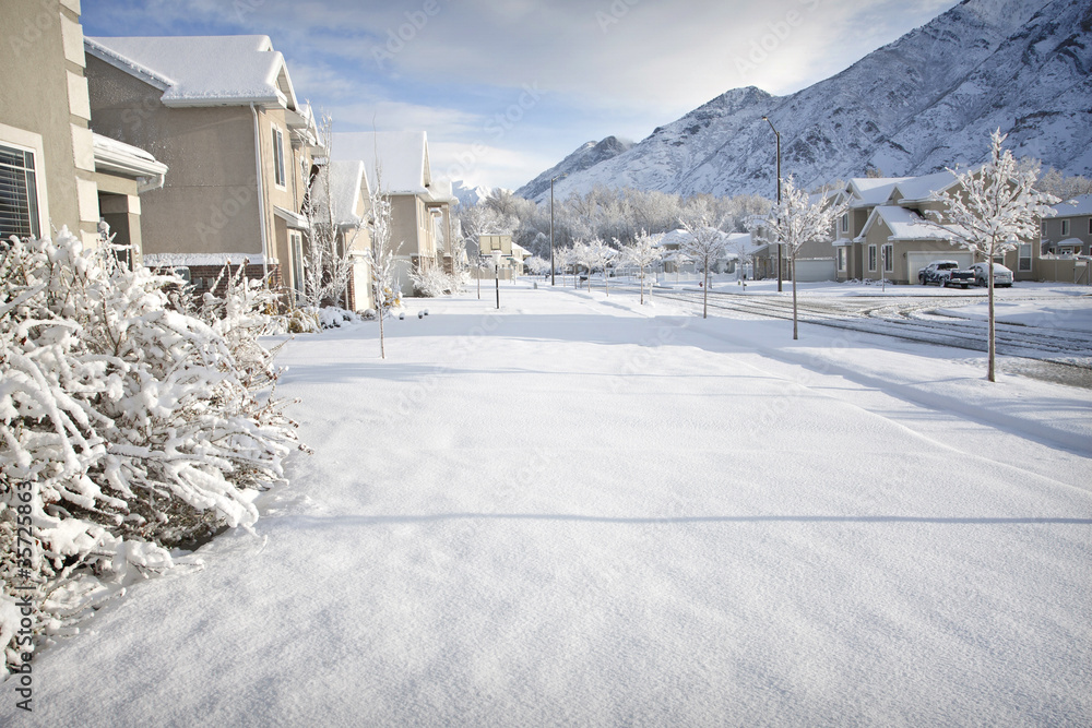 Fototapeta premium Winter Time in the Suburbs