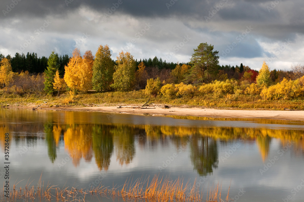 River in taiga (boreal forest) in Komi region, Russia