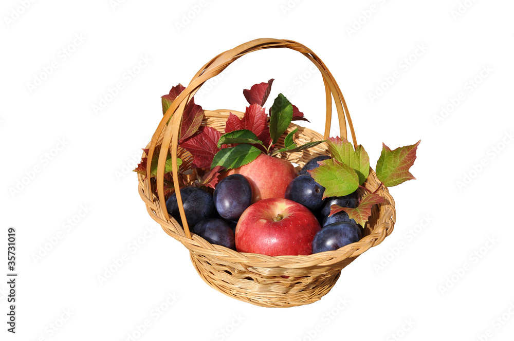 Obstkorb mit Äpfeln und Pflaumen, freigestellt Obstkorb mit Äpfeln und Pflaumen, freigestellt