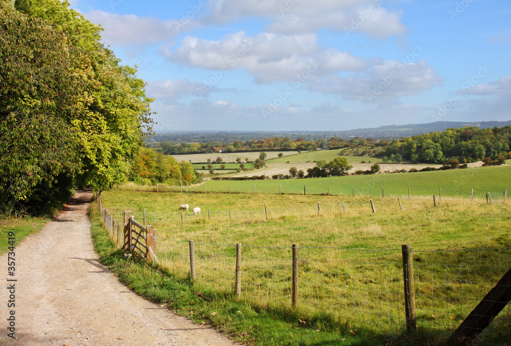 An English Rural Landscape in early Autumn