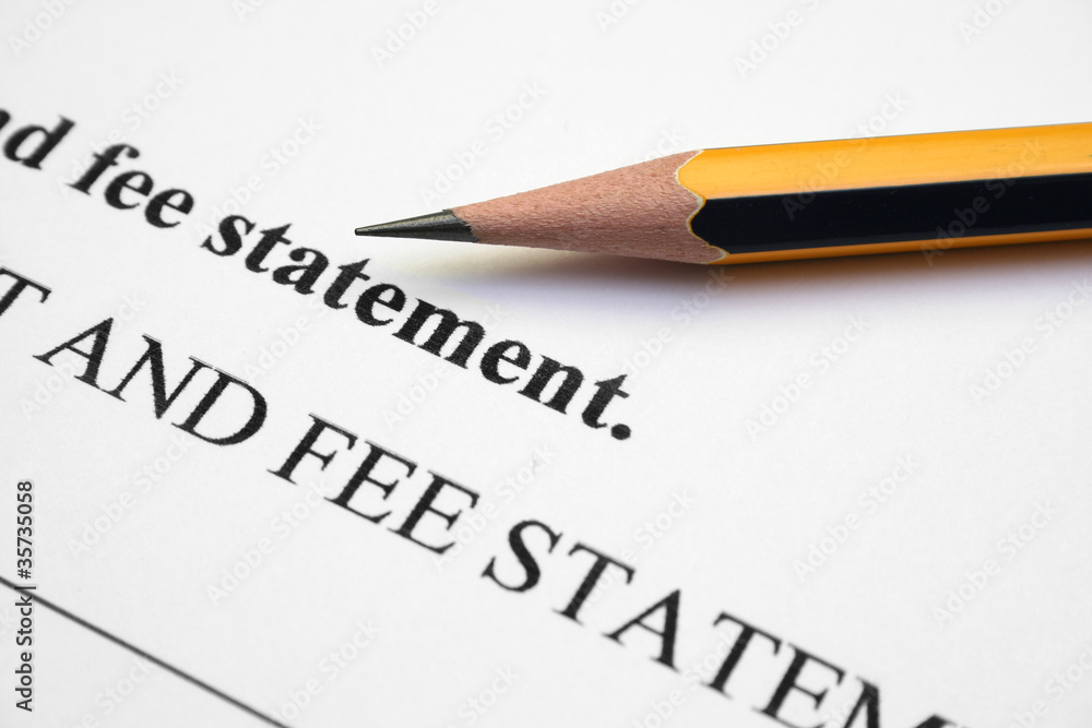 Fee statement Fee statement