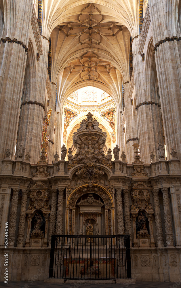 Inside of the Cathedral of Salamanca