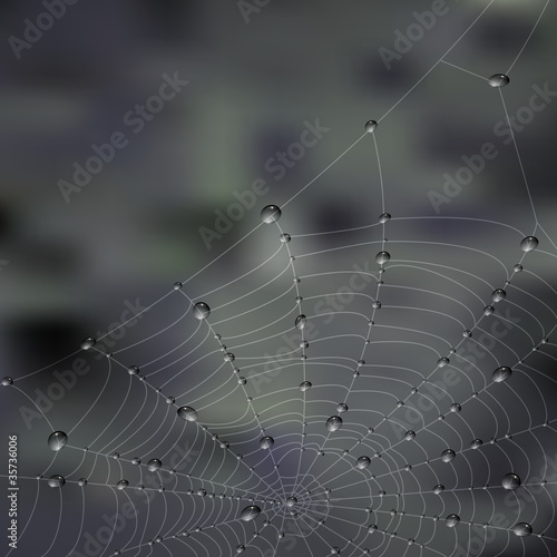 Ragnatela con rugiada - Spiderweb with dewdrops