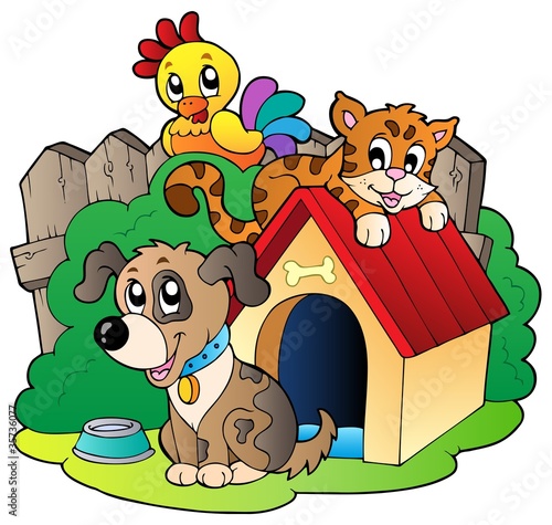 Three domestic animals