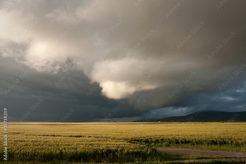 Cloud over harvest Cloud over harvest