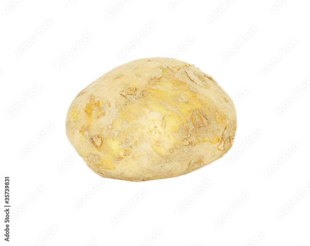 potato potato