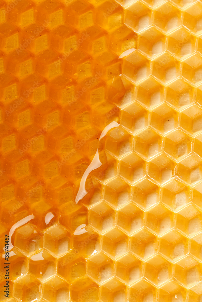 fresh honey in comb fresh honey in comb
