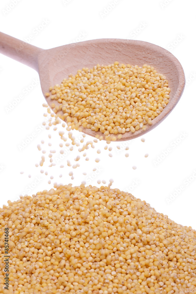 millet millet