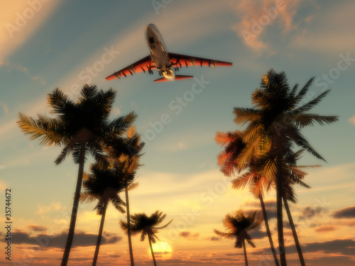 Plane Over Palm Trees