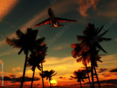 Plane Over Palm Trees © chrisharvey