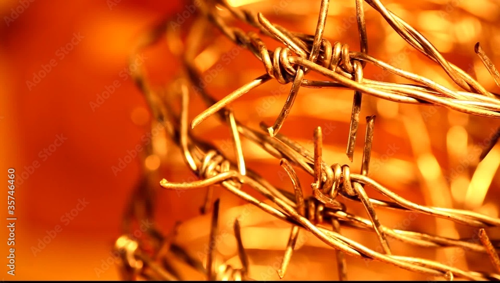 Close up of golden Thorns Close up of golden Thorns