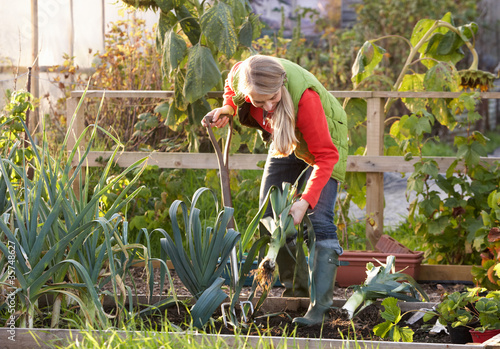 Woman working on allotment