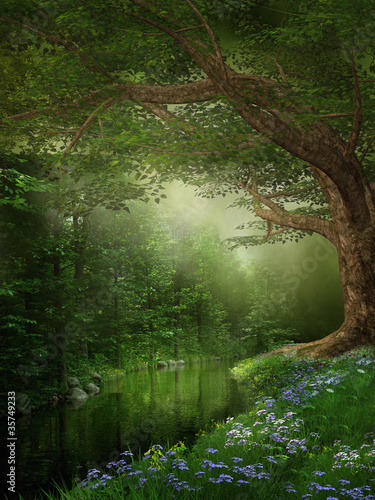 Fototapeta Rzeka w zielonym lesie