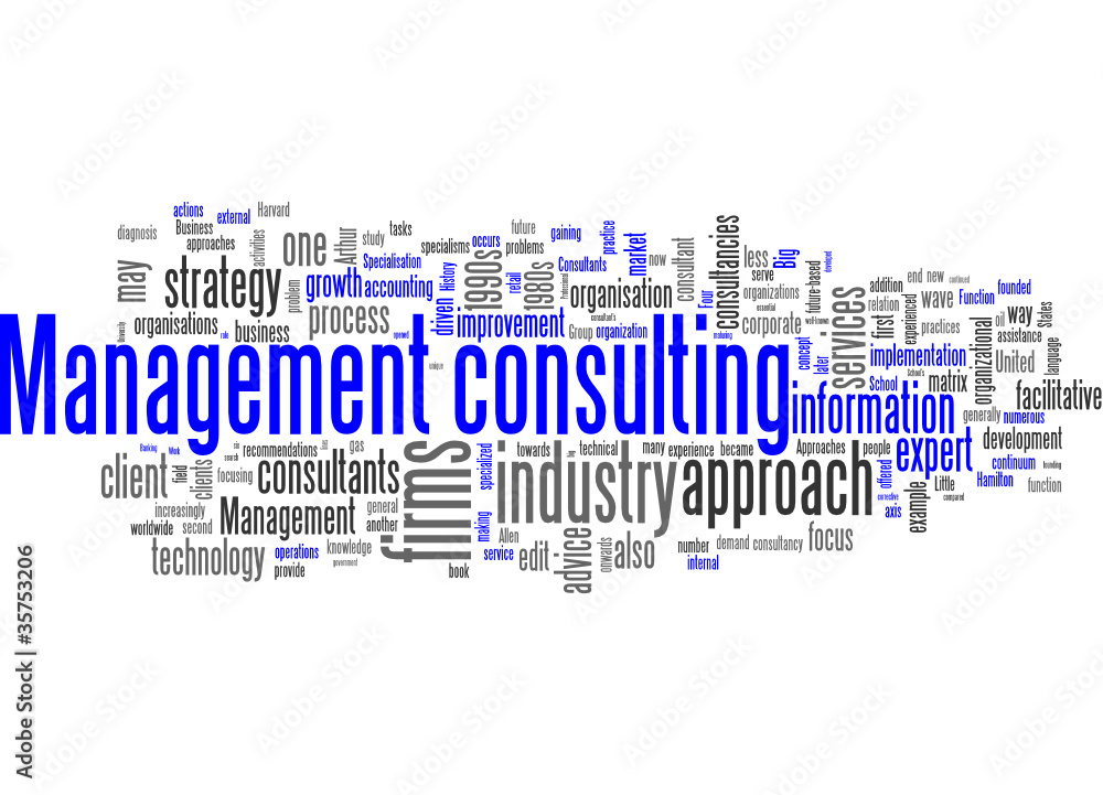 Management Consulting Management Consulting